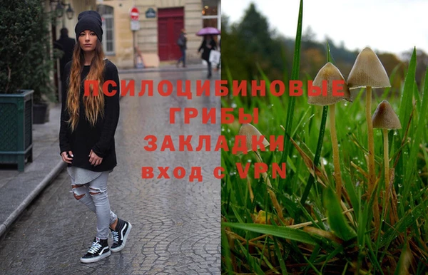 мет Алексин