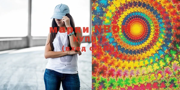 ECSTASY Алзамай