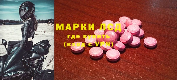 ECSTASY Алзамай