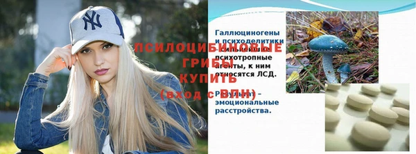 прущие крисы Алексеевка