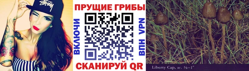 Псилоцибиновые грибы Psilocybe  блэк спрут ТОР  Изобильный 