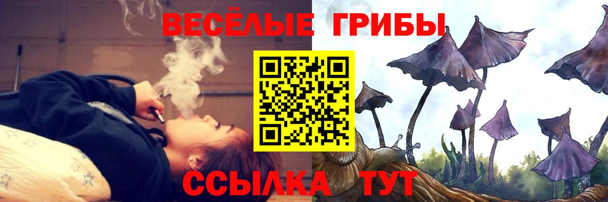 Псилоцибиновые грибы прущие грибы Изобильный