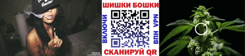 Шишки марихуана сатива сколько стоит Изобильный